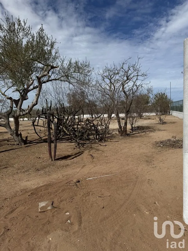 Terreno en Venta en Bella Vista Plus, La Paz, Baja California Sur | NEX-262008 | iad México | Foto 9 de 10