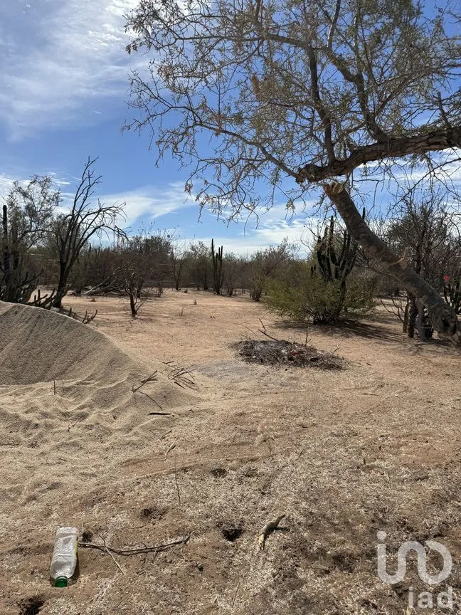 Terreno en Venta en Bella Vista Plus, La Paz, Baja California Sur | NEX-262008 | iad México | Foto 10 de 10