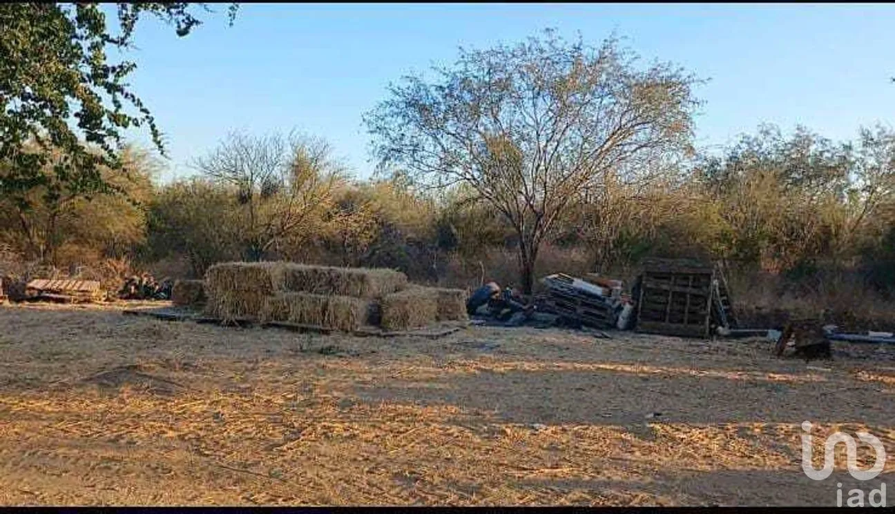 Terreno en Venta en Chametla, La Paz, Baja California Sur | NEX-262012 | iad México | Foto 3 de 8