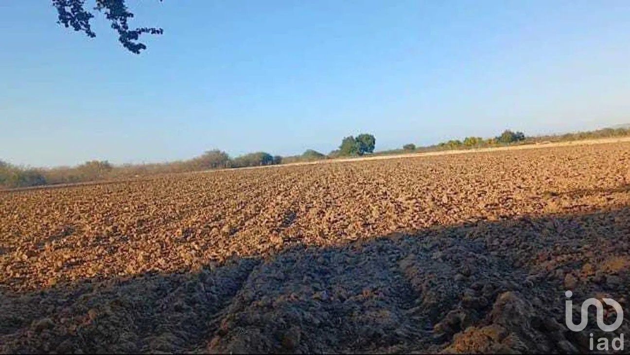 Terreno en Venta en Chametla, La Paz, Baja California Sur | NEX-262012 | iad México | Foto 4 de 8