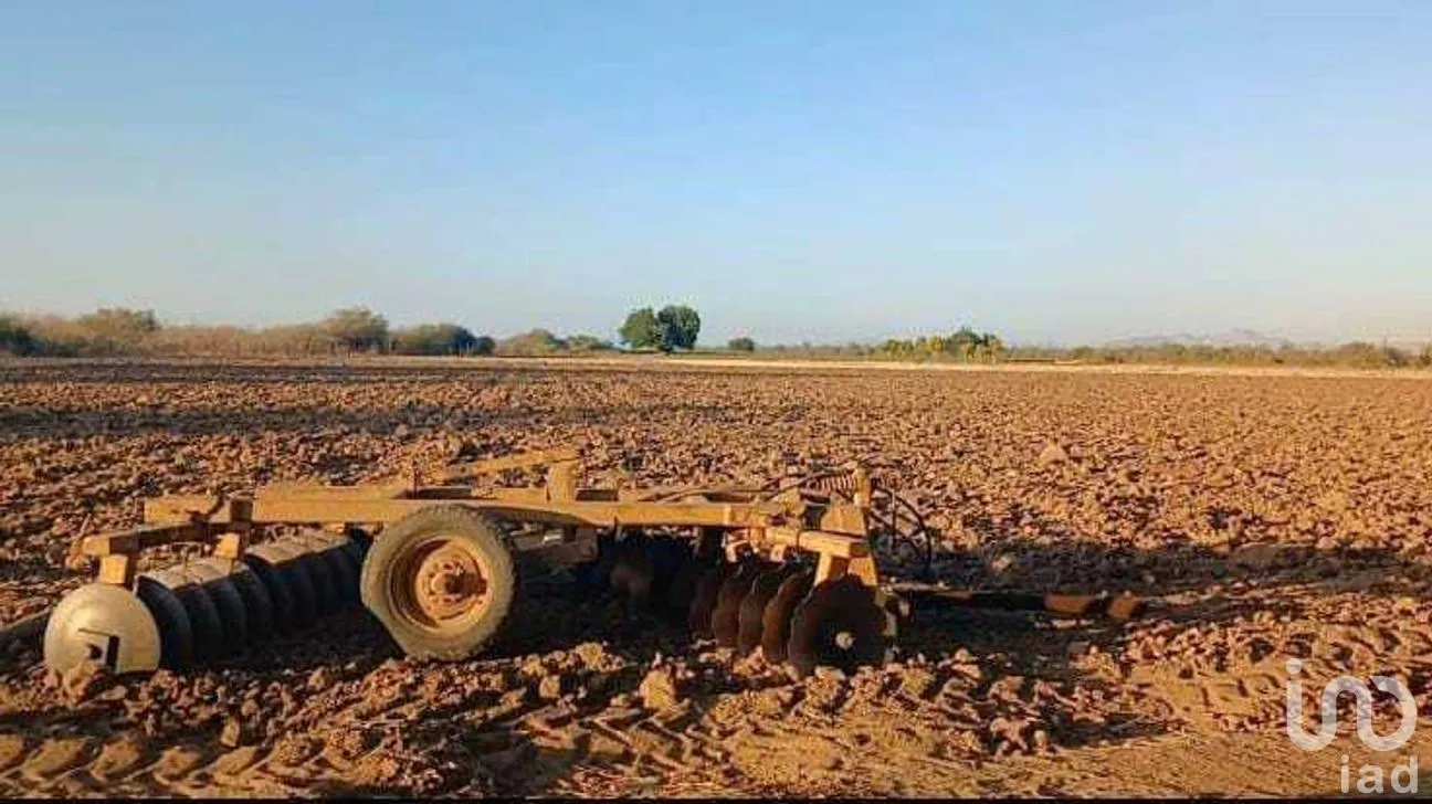 Terreno en Venta en Chametla, La Paz, Baja California Sur | NEX-262012 | iad México | Foto 5 de 8
