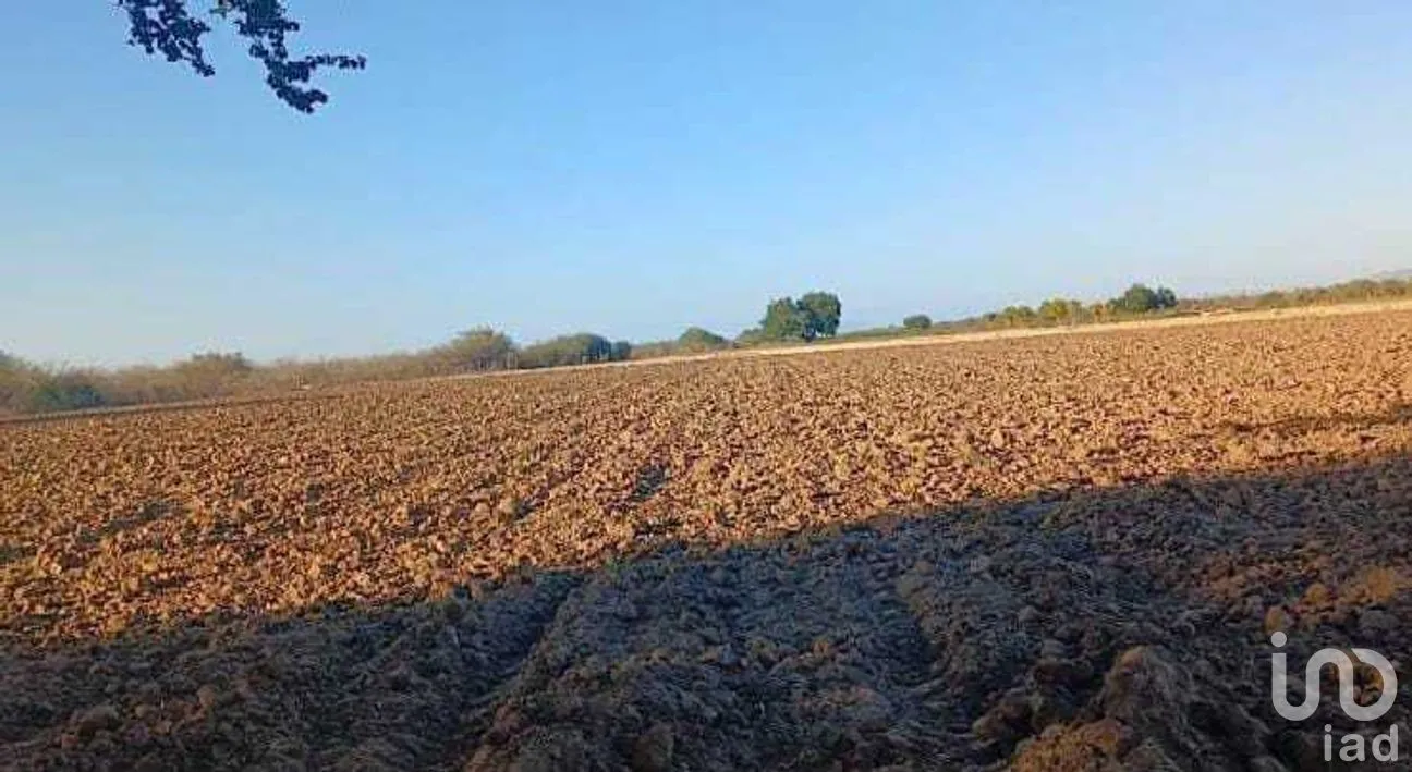 Terreno en Venta en Chametla, La Paz, Baja California Sur | NEX-262012 | iad México | Foto 6 de 8