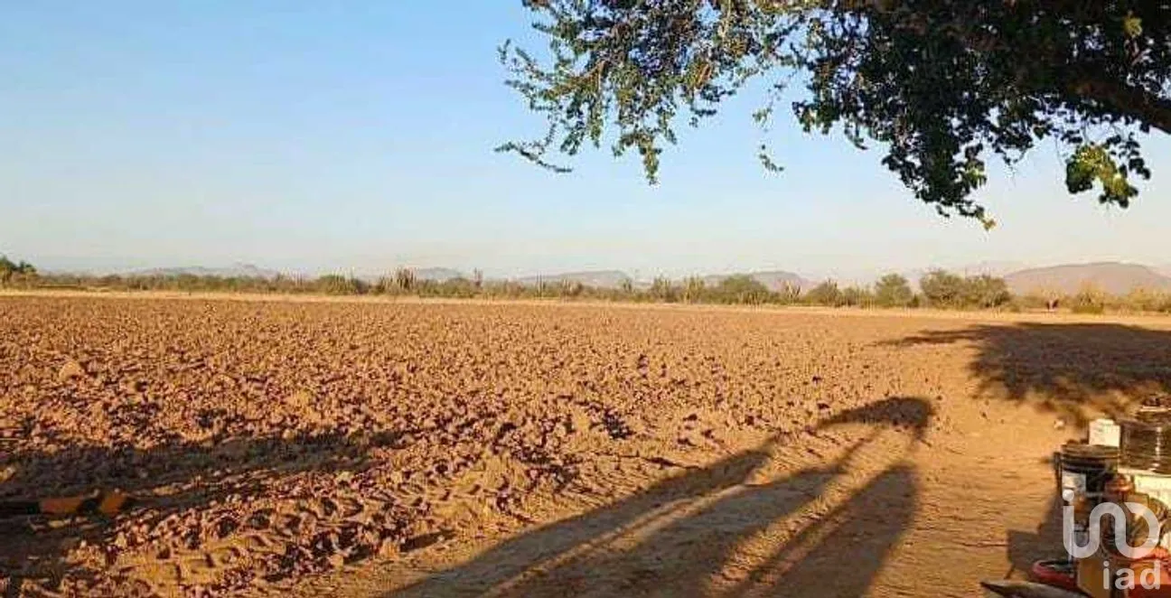 Terreno en Venta en Chametla, La Paz, Baja California Sur | NEX-262012 | iad México | Foto 7 de 8
