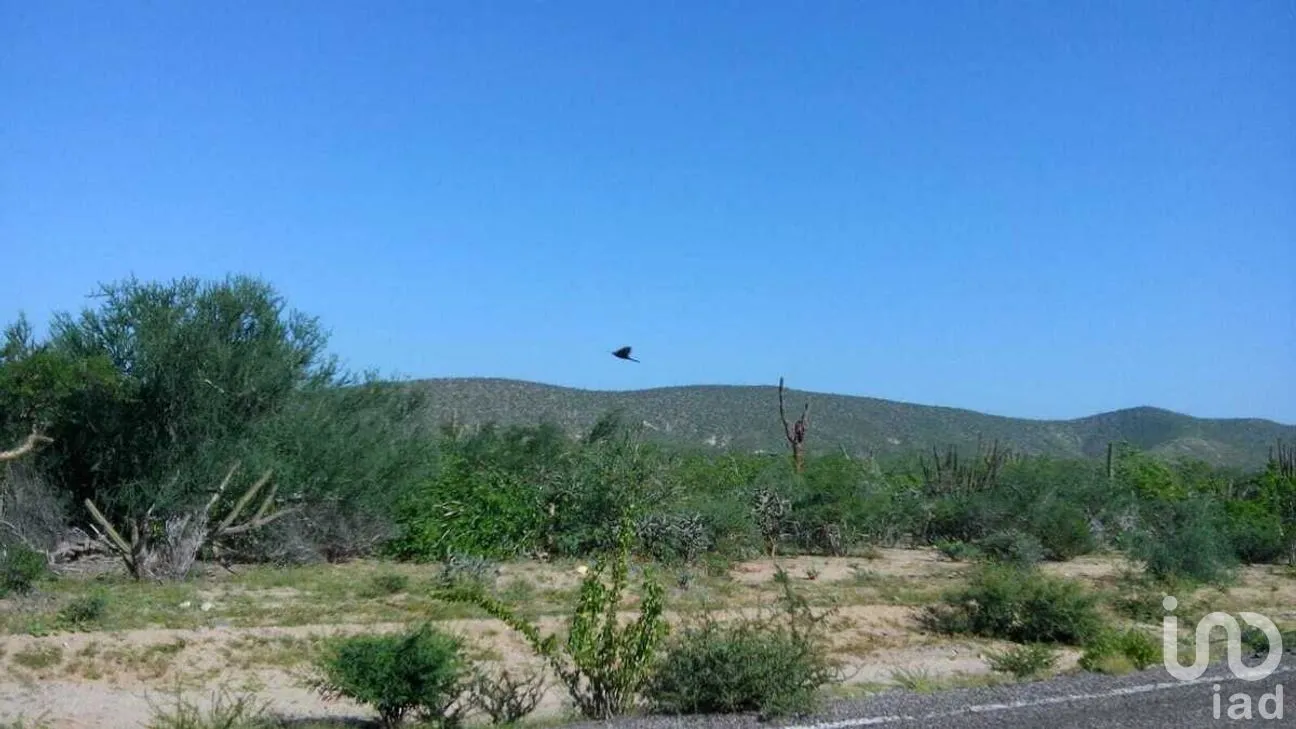 Terreno en Venta en Melitón Albáñez Domínguez, La Paz, Baja California Sur | NEX-262829 | iad México | Foto 3 de 5