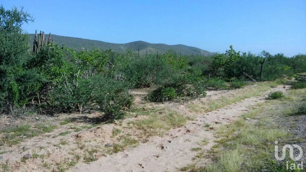 Terreno en Venta en Melitón Albáñez Domínguez, La Paz, Baja California Sur | NEX-262829 | iad México | Foto 4 de 5