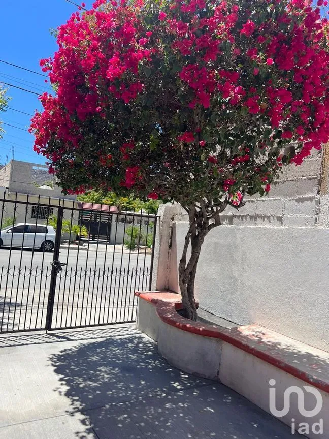 Casa en Venta en Guerrero, La Paz, Baja California Sur | NEX-262844 | iad México | Foto 3 de 15