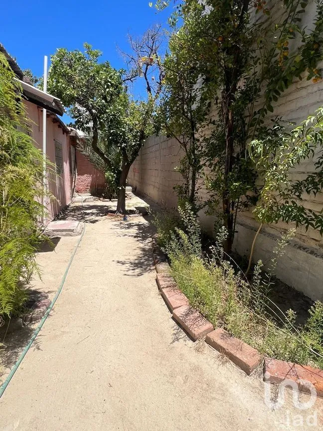 Casa en Venta en Guerrero, La Paz, Baja California Sur | NEX-262844 | iad México | Foto 5 de 15