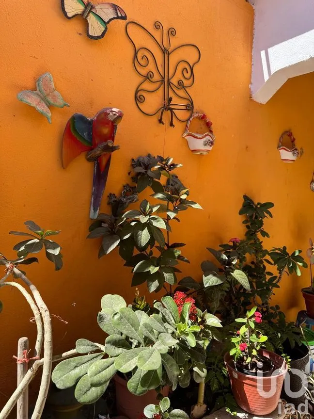 Casa en Venta en Balandra, La Paz, Baja California Sur | NEX-262867 | iad México | Foto 3 de 18