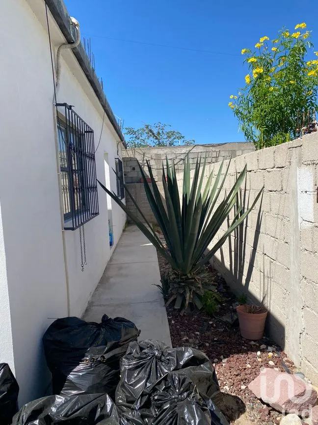 Casa en Venta en Los Olivos, La Paz, Baja California Sur | NEX-265637 | iad México | Foto 11 de 28