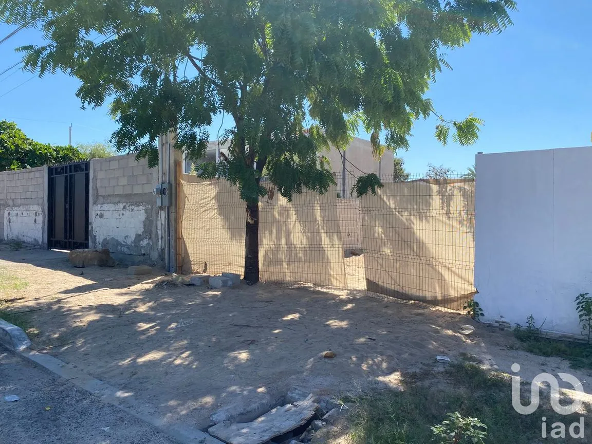 Casa en Venta en Los Olivos, La Paz, Baja California Sur | NEX-265637 | iad México | Foto 16 de 28