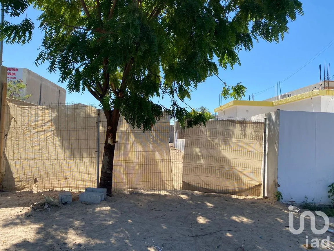 Casa en Venta en Los Olivos, La Paz, Baja California Sur | NEX-265637 | iad México | Foto 6 de 28
