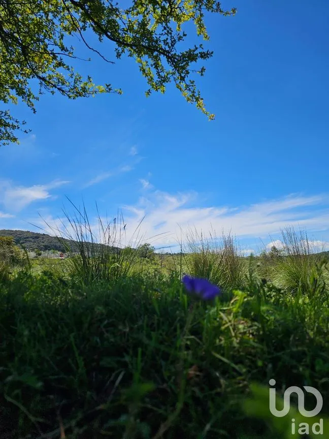 Terreno en Venta en Omitlán de Juárez Centro, Omitlán de Juárez, Hidalgo | NEX-257061 | iad México | Foto 5 de 5