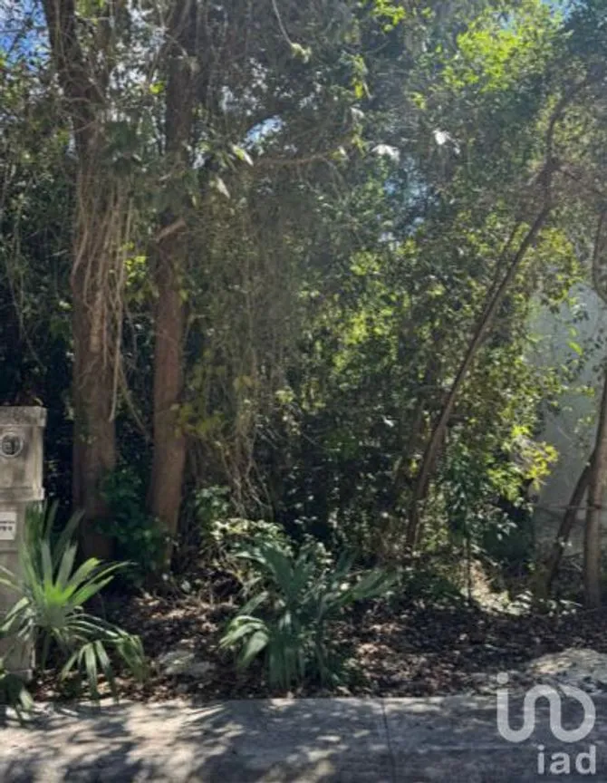 Terreno en Venta en Joaquín Zetina Gasca, Puerto Morelos, Quintana Roo | NEX-257261 | iad México | Foto 2 de 6