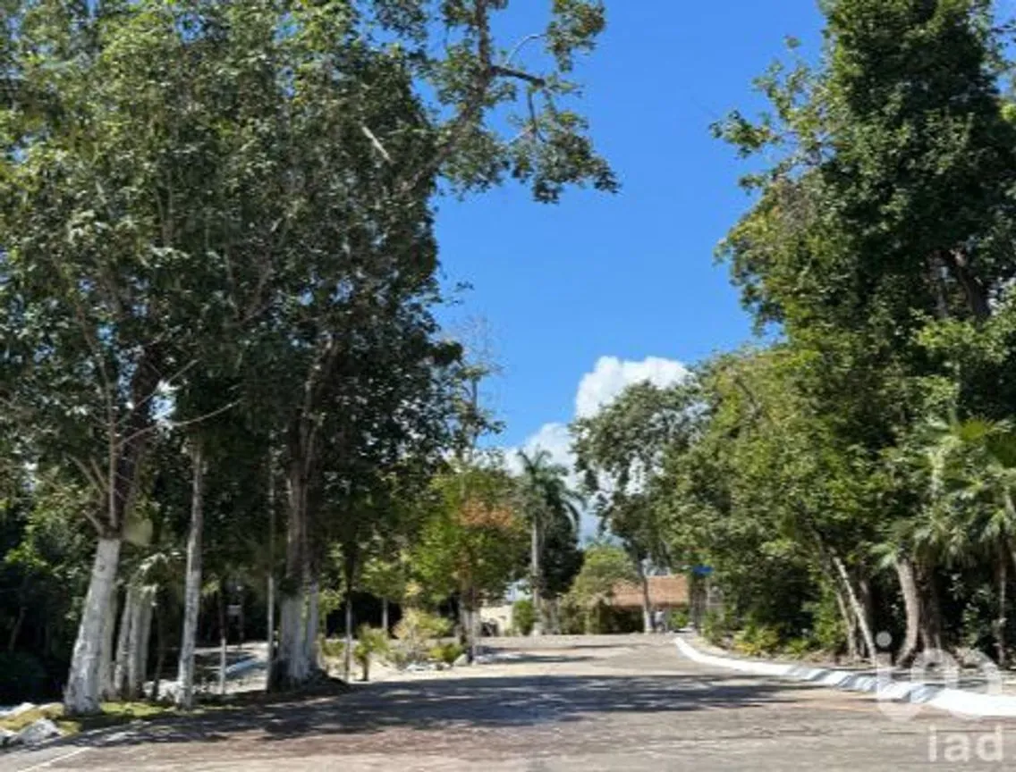 Terreno en Venta en Joaquín Zetina Gasca, Puerto Morelos, Quintana Roo | NEX-257261 | iad México | Foto 5 de 6