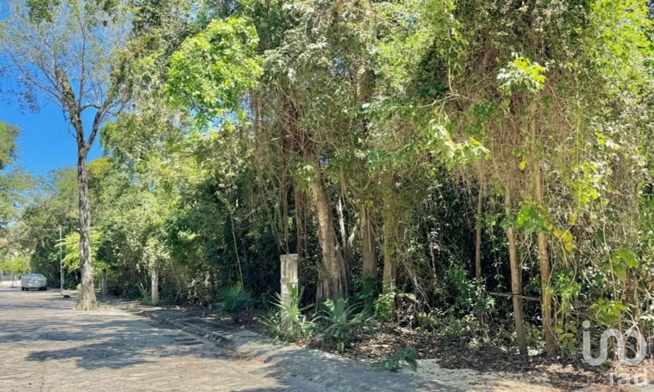 Terreno en Venta en Joaquín Zetina Gasca, Puerto Morelos, Quintana Roo | NEX-257261 | iad México | Foto 1 de 6