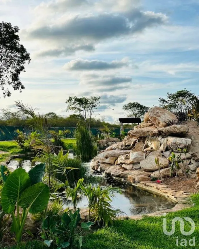 Casa en Renta en Conkal, Conkal, Yucatán | NEX-260072 | iad México | Foto 13 de 13
