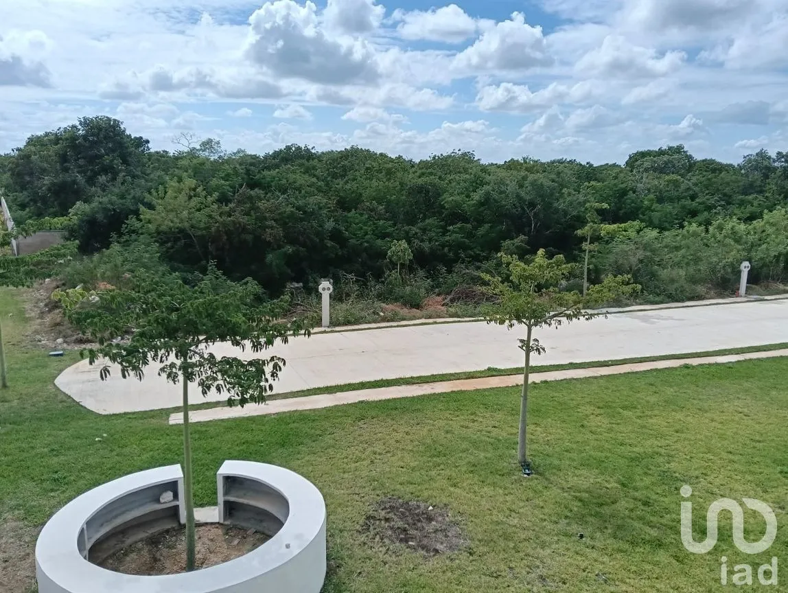 Terreno en Venta en Progreso Centro, Progreso, Yucatán | NEX-262273 | iad México | Foto 12 de 15