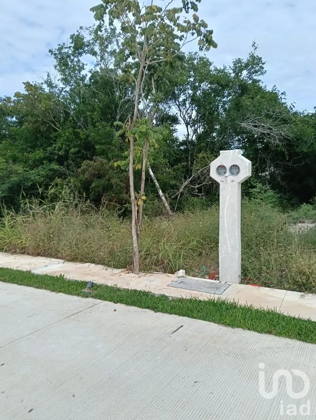 Terreno en Venta en Progreso Centro, Progreso, Yucatán | NEX-262273 | iad México | Foto 6 de 15