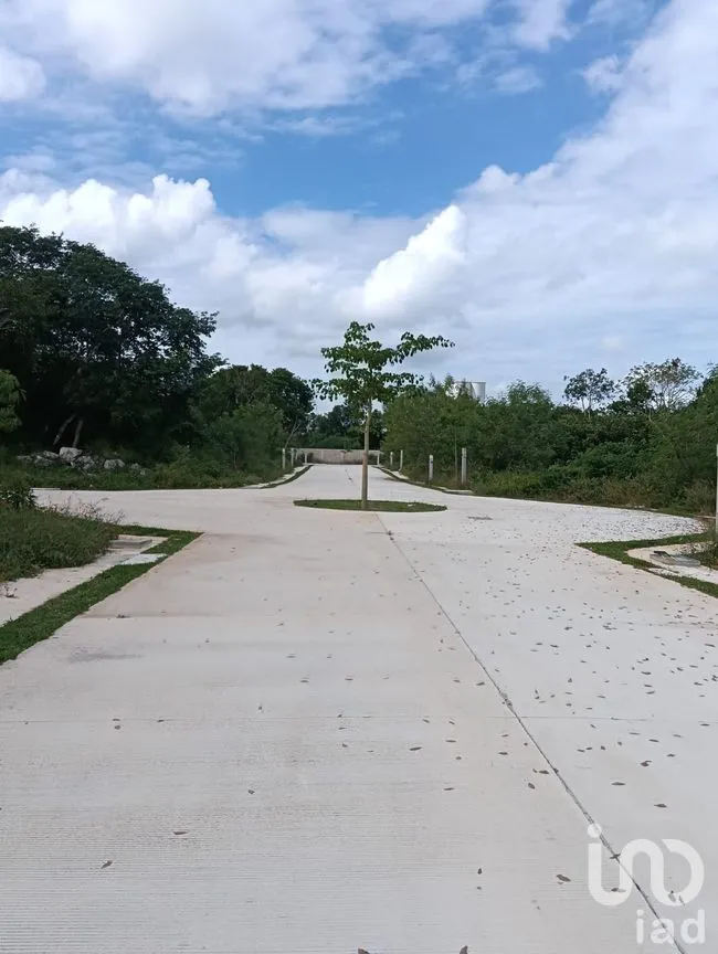 Terreno en Venta en Progreso Centro, Progreso, Yucatán | NEX-262273 | iad México | Foto 7 de 15