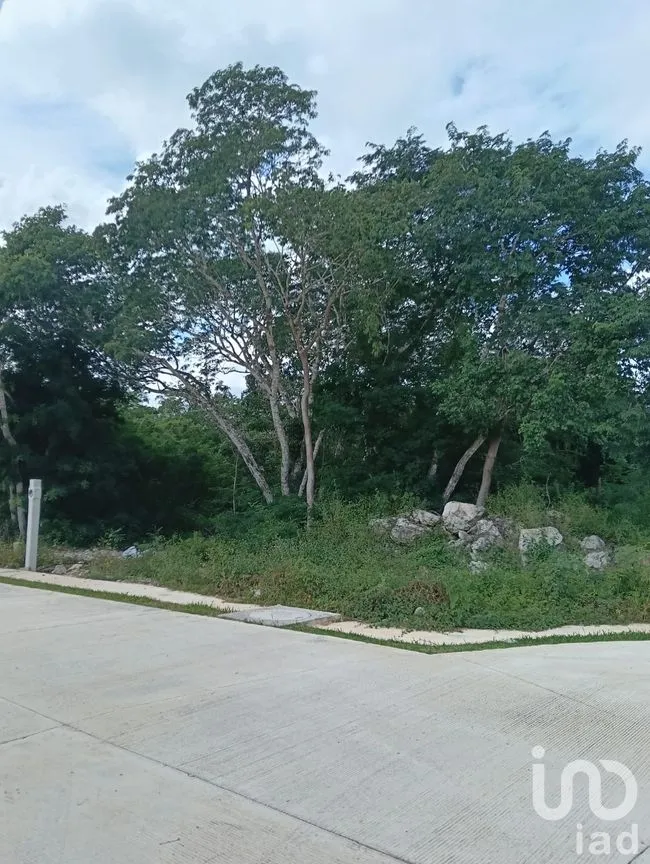 Terreno en Venta en Progreso Centro, Progreso, Yucatán | NEX-262273 | iad México | Foto 8 de 15