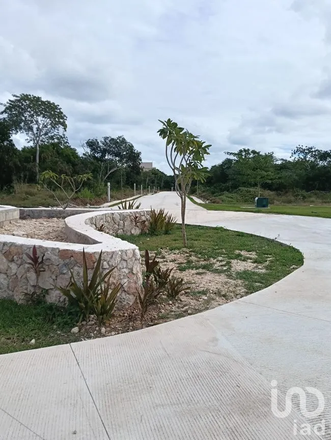 Terreno en Venta en Progreso Centro, Progreso, Yucatán | NEX-262273 | iad México | Foto 9 de 15