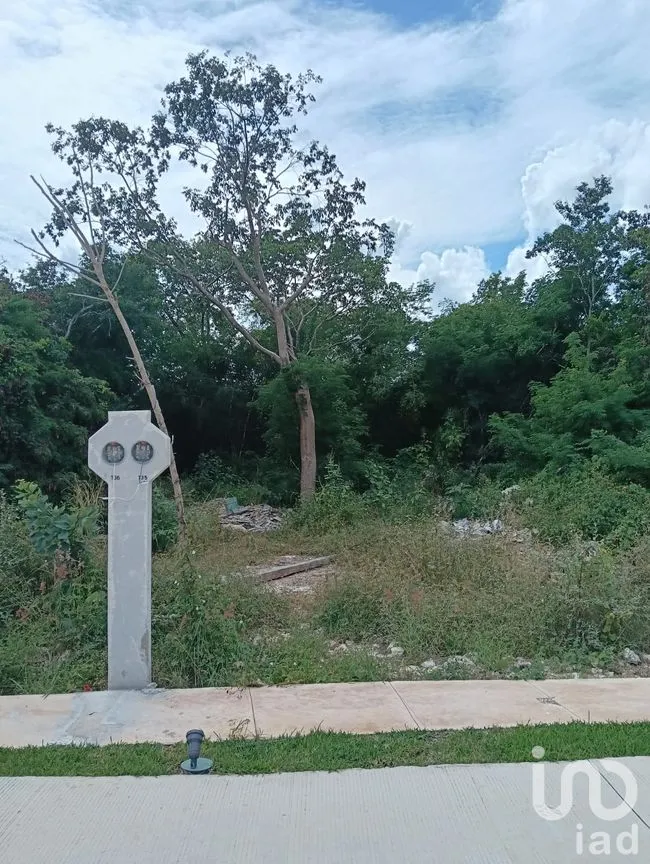 Terreno en Venta en Progreso Centro, Progreso, Yucatán | NEX-262273 | iad México | Foto 10 de 15