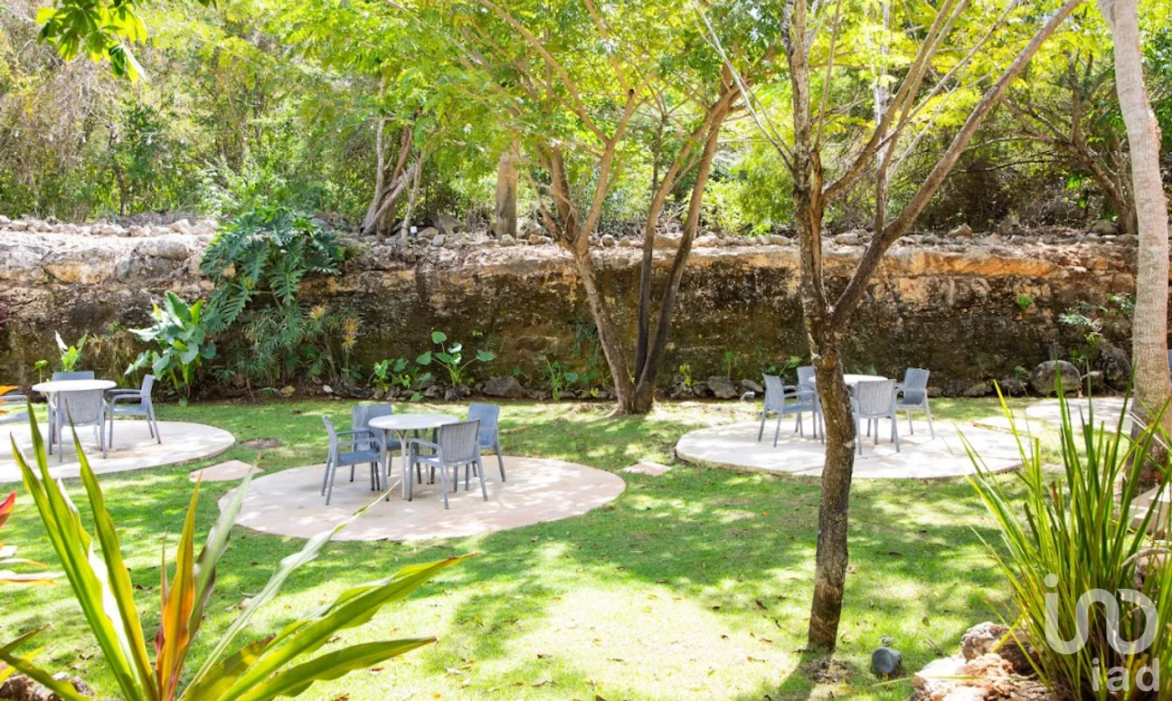 Departamento en Renta en Cabo Norte, Mérida, Yucatán | NEX-289583 | iad México | Foto 8 de 12