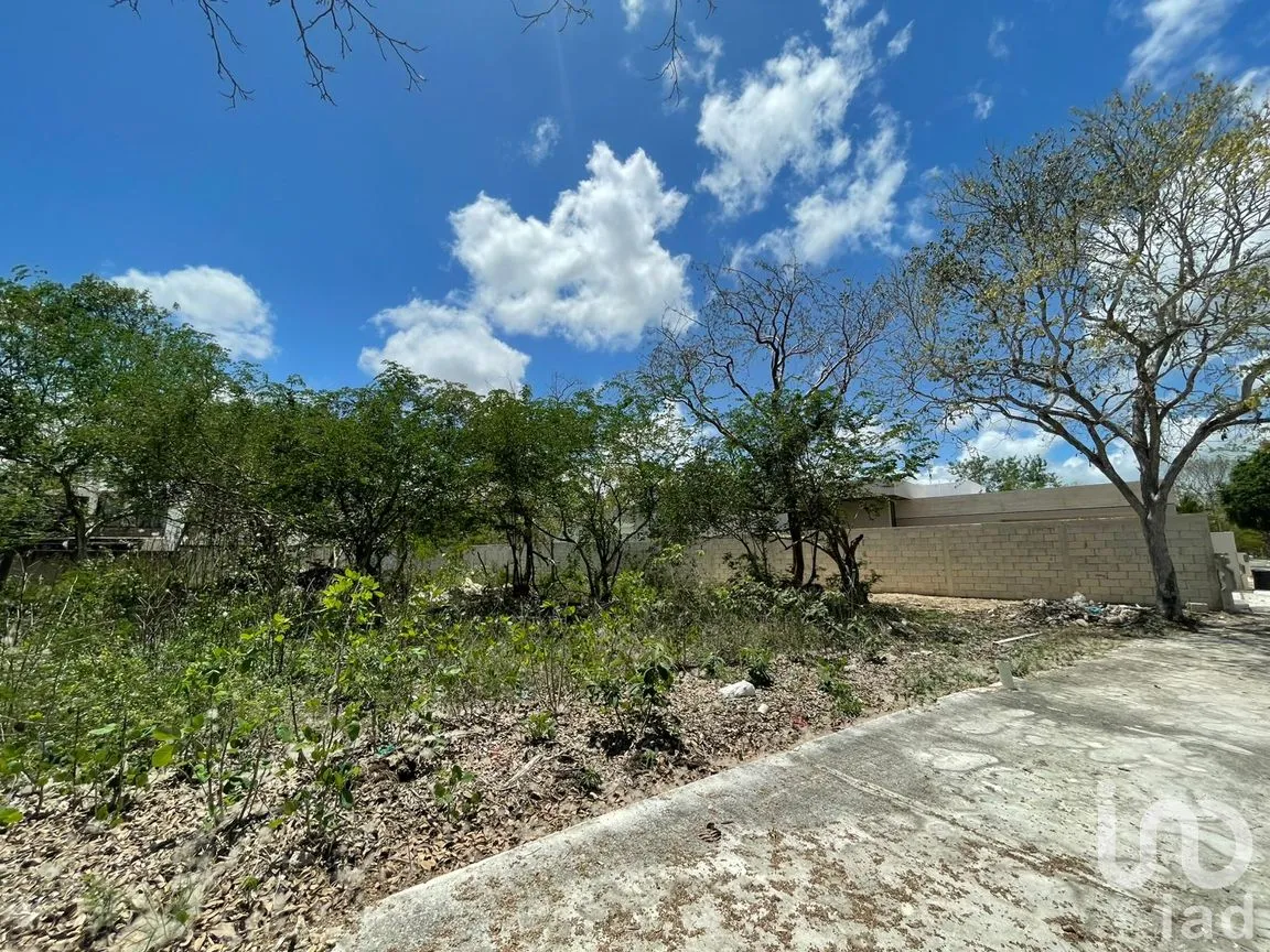 Terreno en Venta en Chablekal, Mérida, Yucatán | NEX-294906 | iad México | Foto 11 de 14