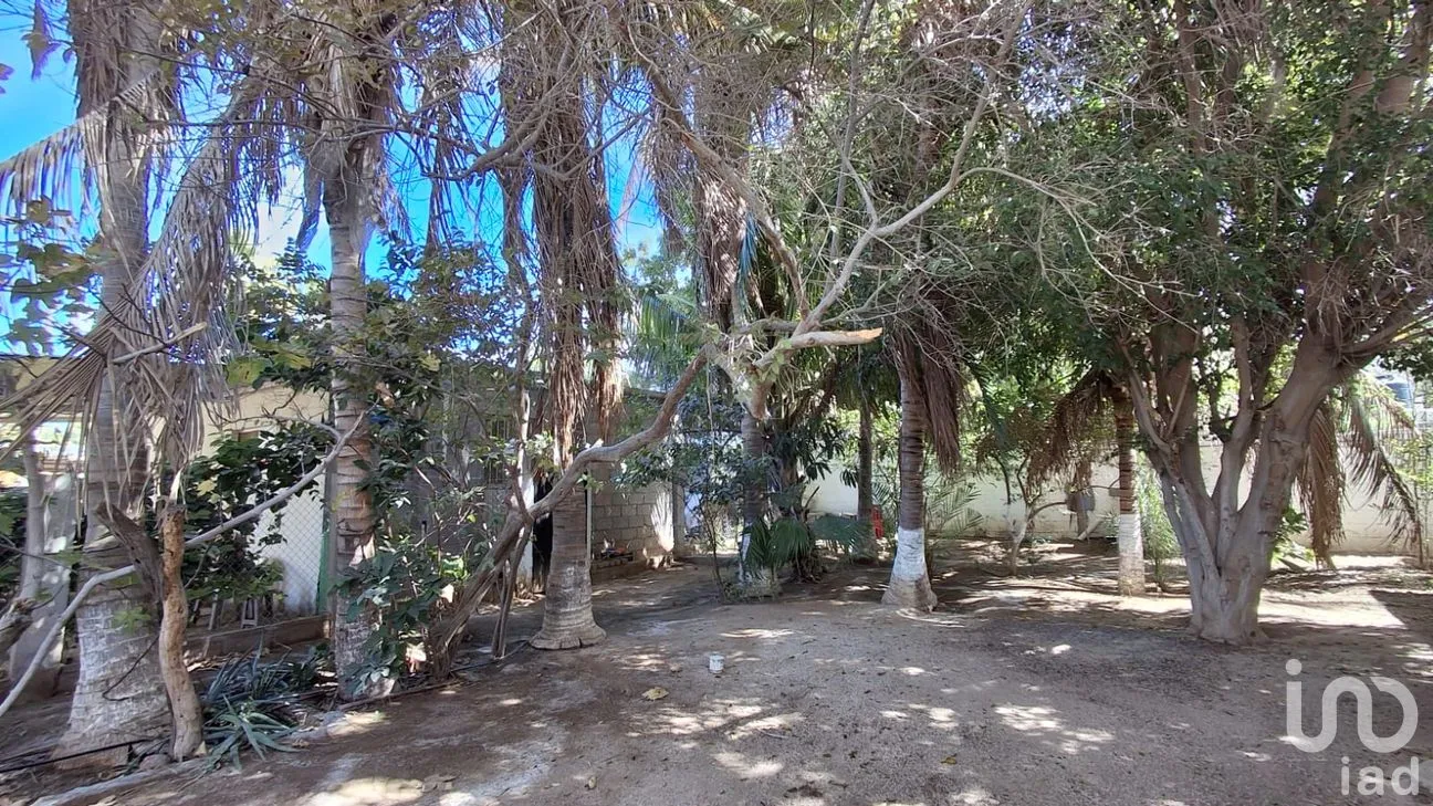 Casa en Venta en San Pedro México, La Paz, Baja California Sur | NEX-283833 | iad México | Foto 8 de 50