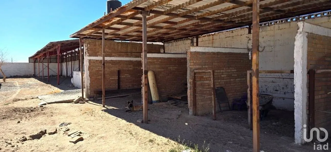 Rancho en Venta en Granjas de Chapultepec, Juárez, Chihuahua | NEX-262024 | iad México | Foto 5 de 11