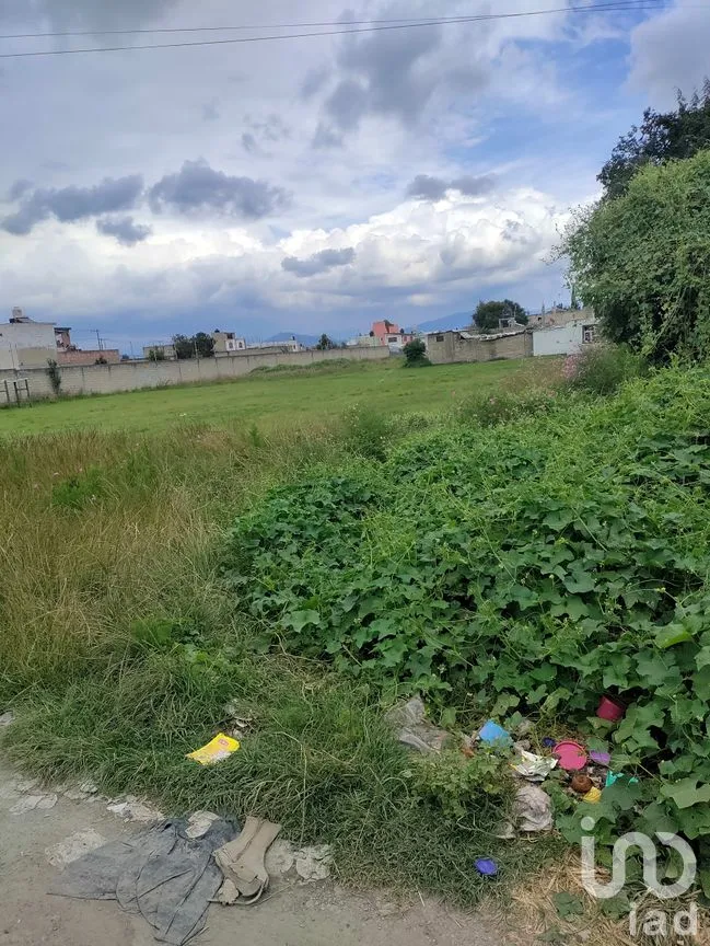 Terreno en Venta en San Pedro Totoltepec, Toluca, México | NEX-259983 | iad México | Foto 4 de 7