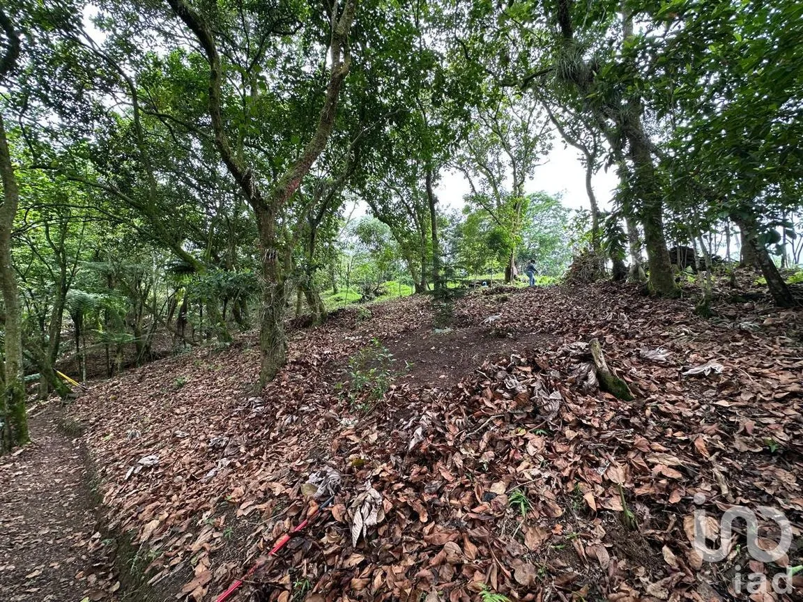 Rancho en Venta en Ciudad de Cuetzalan, Cuetzalan del Progreso, Puebla | NEX-264118 | iad México | Foto 5 de 7