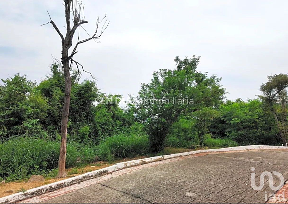 Terreno en Venta en Brisas del Marqués, Acapulco de Juárez, Guerrero | NEX-264934 | iad México | Foto 11 de 14