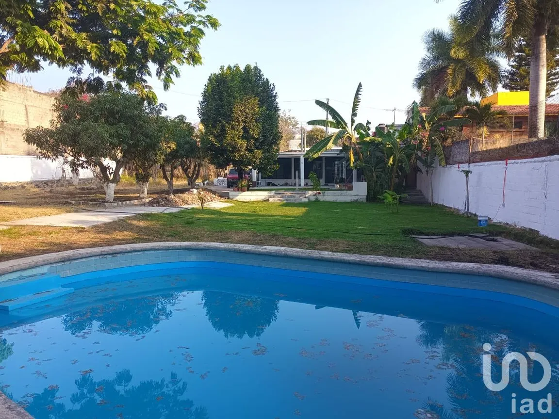 Casa en Renta en Las Fincas, Jiutepec, Morelos | NEX-292082 | iad México | Foto 1 de 25