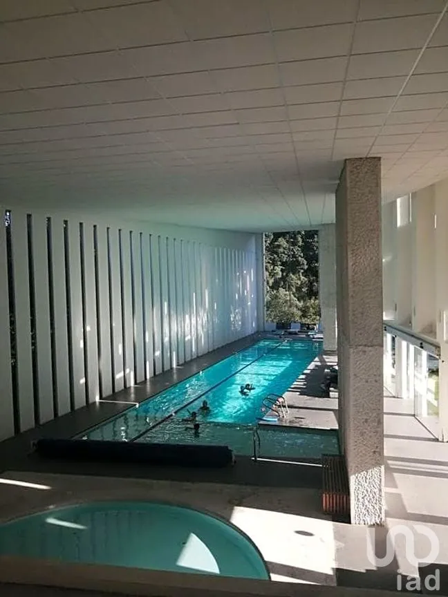 Departamento en Renta en Santa Fe Cuajimalpa, Cuajimalpa de Morelos, Ciudad de México | NEX-292005 | iad México | Foto 6 de 20