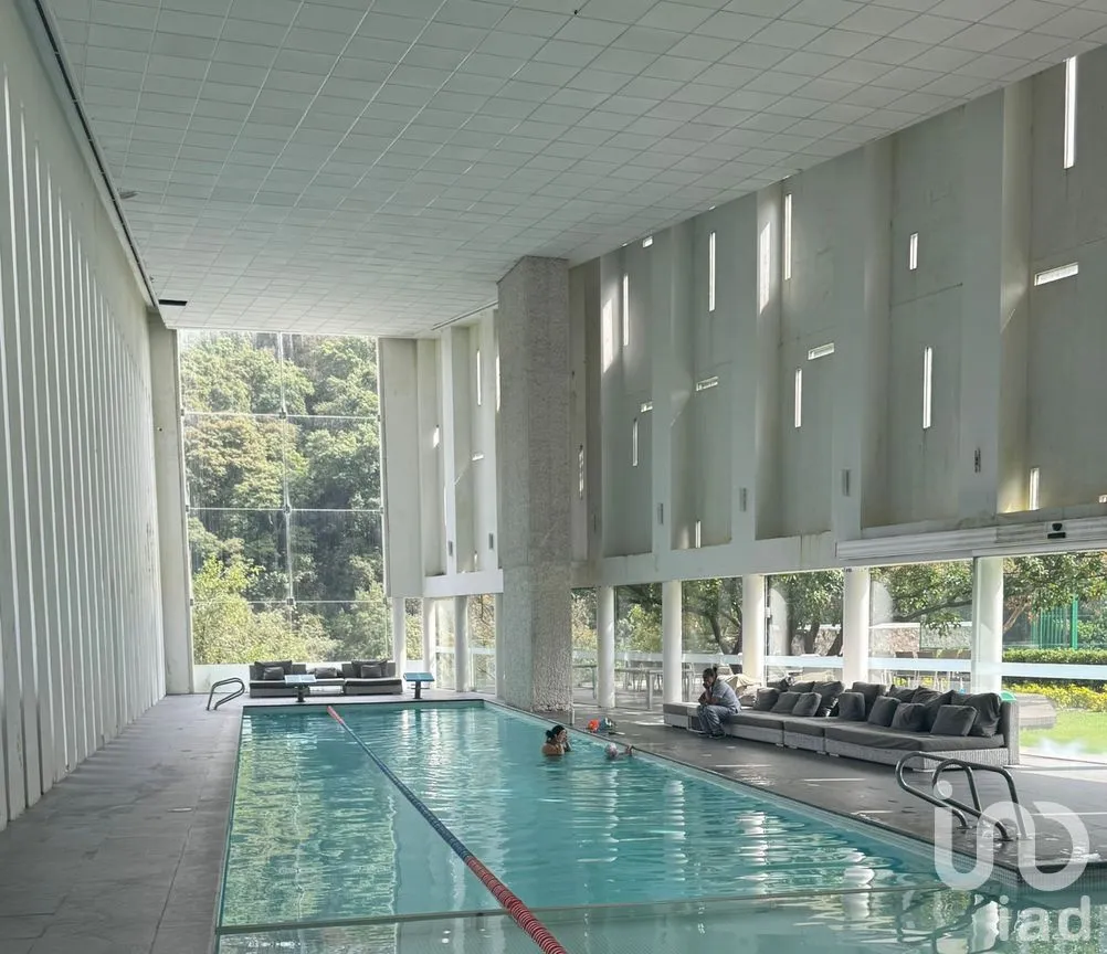 Departamento en Renta en Santa Fe Cuajimalpa, Cuajimalpa de Morelos, Ciudad de México | NEX-292005 | iad México | Foto 14 de 19