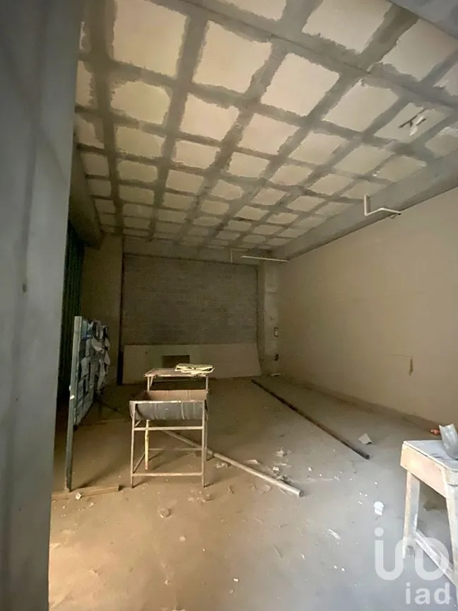 Local en Renta en San Rafael, Cuauhtémoc, Ciudad de México | NEX-284076 | iad México | Foto 10 de 12