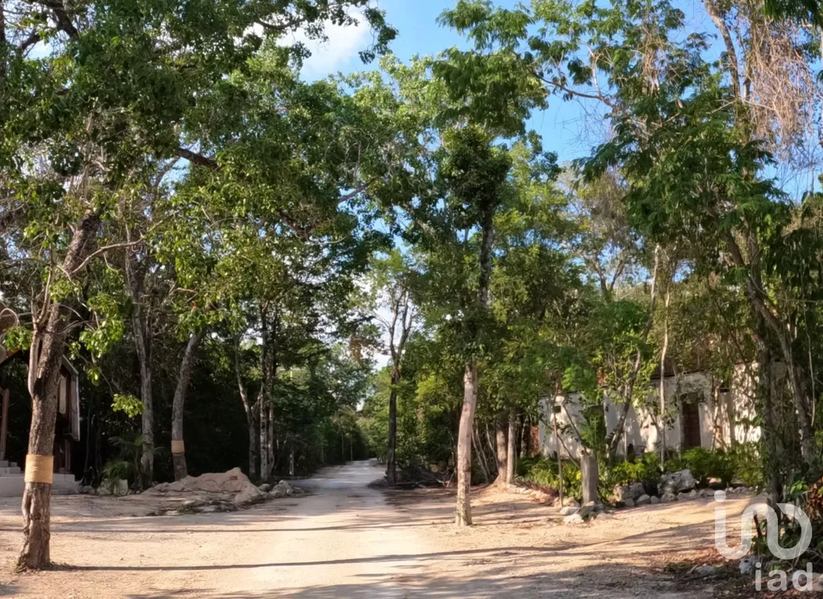 Terreno en Venta en Ciudad Chemuyil, Tulum, Quintana Roo | NEX-264803 | iad México | Foto 2 de 7