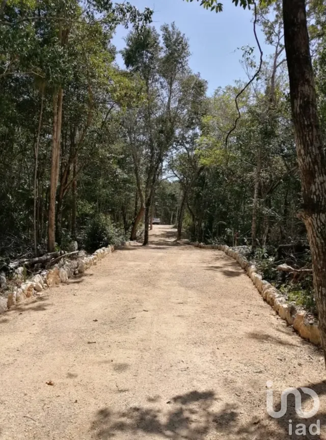 Terreno en Venta en Ciudad Chemuyil, Tulum, Quintana Roo | NEX-264803 | iad México | Foto 4 de 7