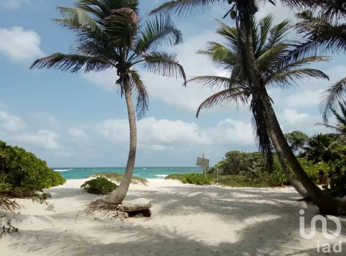 Terreno en Venta en Ciudad Chemuyil, Tulum, Quintana Roo | NEX-264803 | iad México | Foto 5 de 7