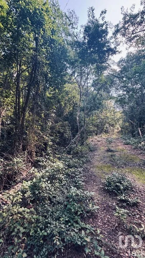 Terreno en Venta en Ciudad Chemuyil, Tulum, Quintana Roo | NEX-264803 | iad México | Foto 6 de 7