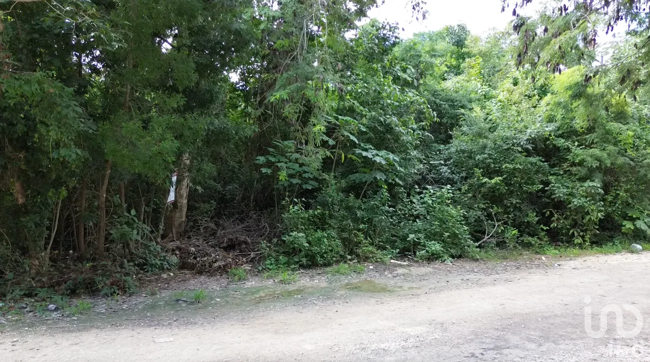 Terreno en Venta en La Veleta, Tulum, Quintana Roo | NEX-266241 | iad México | Foto 5 de 8