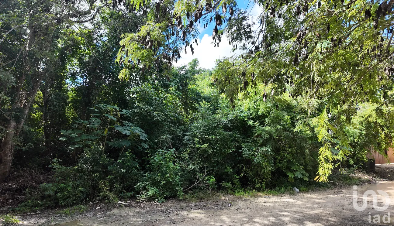 Terreno en Venta en La Veleta, Tulum, Quintana Roo | NEX-266241 | iad México | Foto 6 de 8