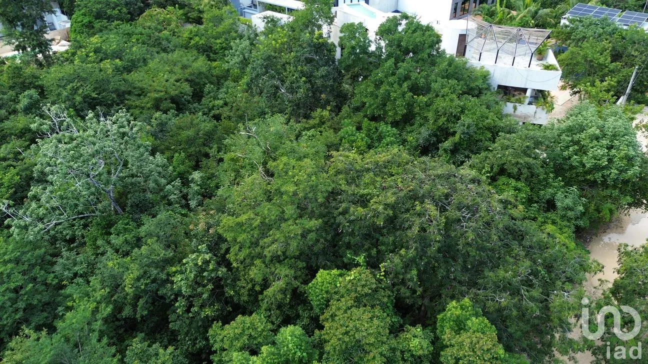 Terreno en Venta en La Veleta, Tulum, Quintana Roo | NEX-266241 | iad México | Foto 3 de 8
