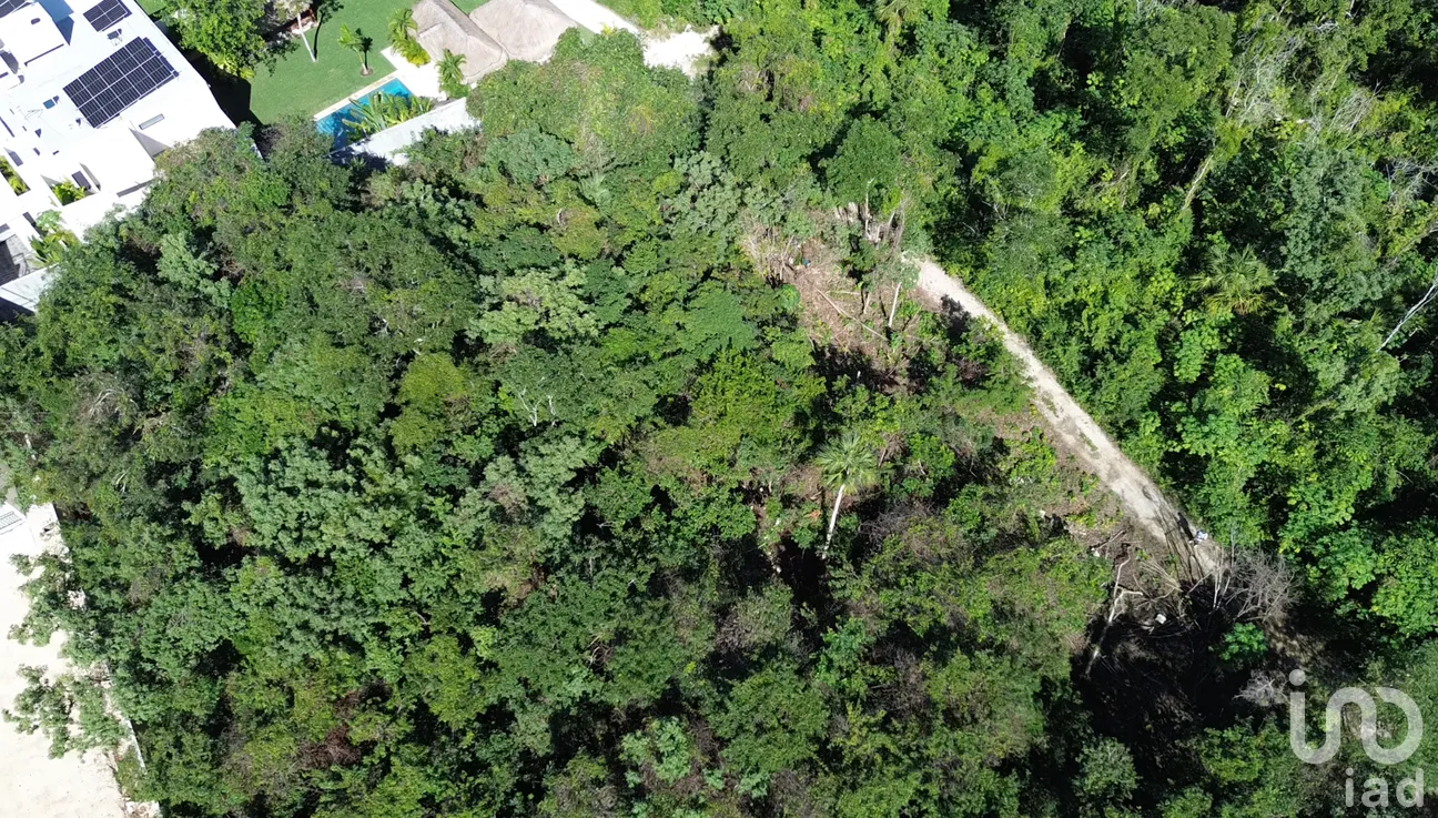 Terreno en Venta en Loltun, Solidaridad, Quintana Roo | NEX-285635 | iad México | Foto 2 de 5