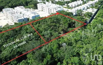 NEX-285635 - Terreno en Venta en Loltun, CP 77727, Quintana Roo.