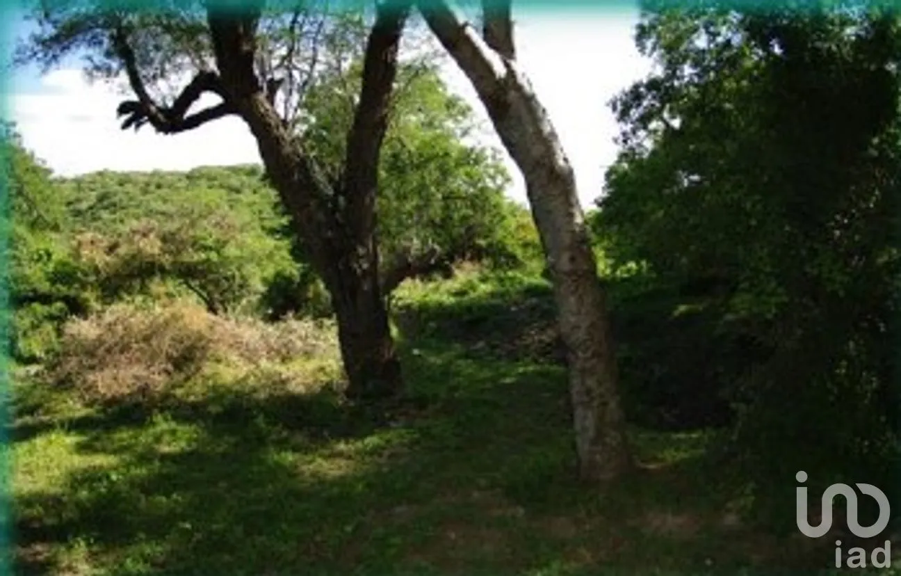 Terreno en Venta en Chietla, Chietla, Puebla | NEX-294230 | iad México | Foto 13 de 14