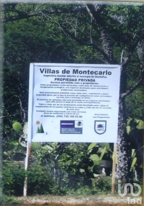 Terreno en Venta en Chietla, Chietla, Puebla | NEX-294230 | iad México | Foto 6 de 14