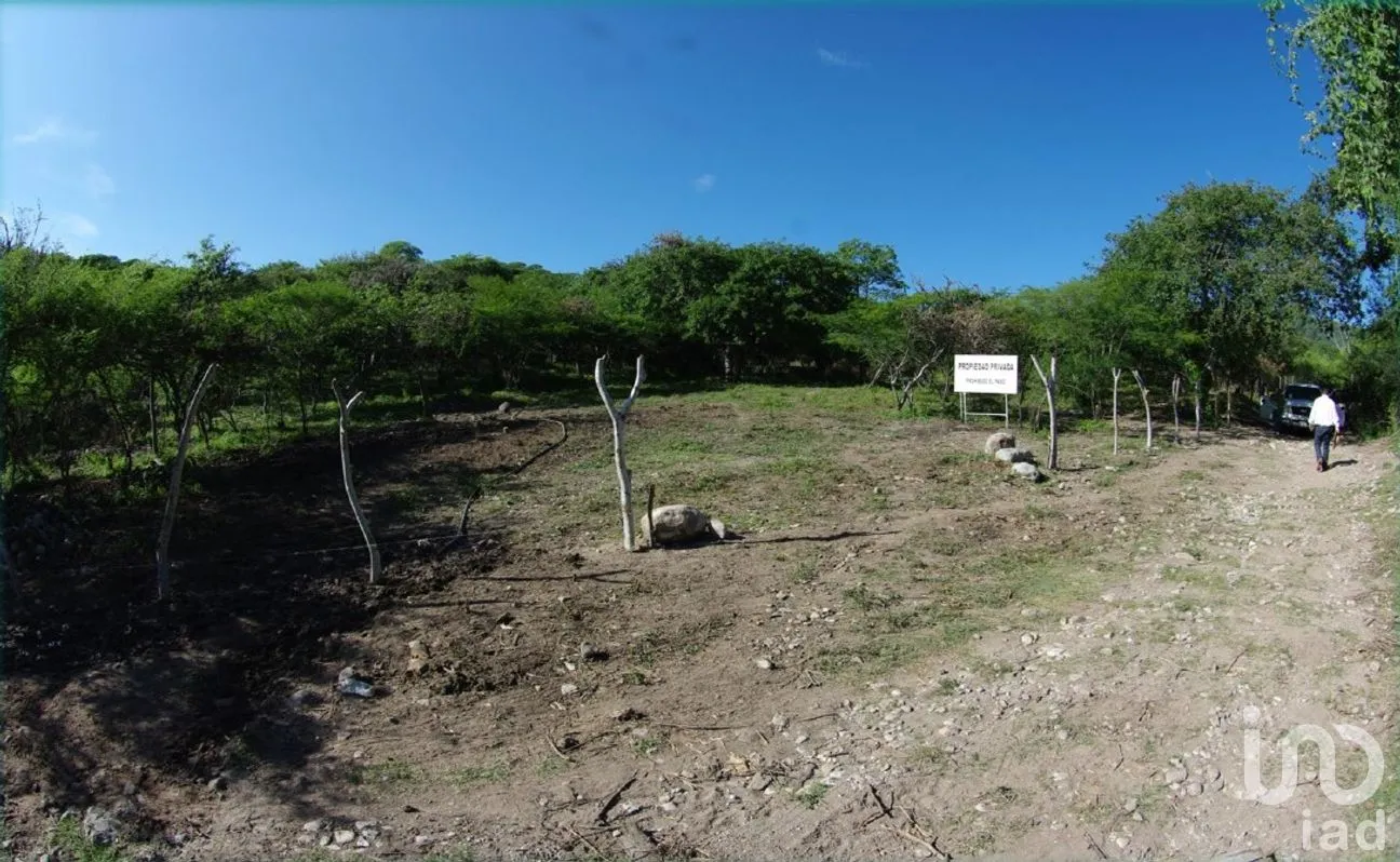 Terreno en Venta en Chietla, Chietla, Puebla | NEX-294230 | iad México | Foto 7 de 14