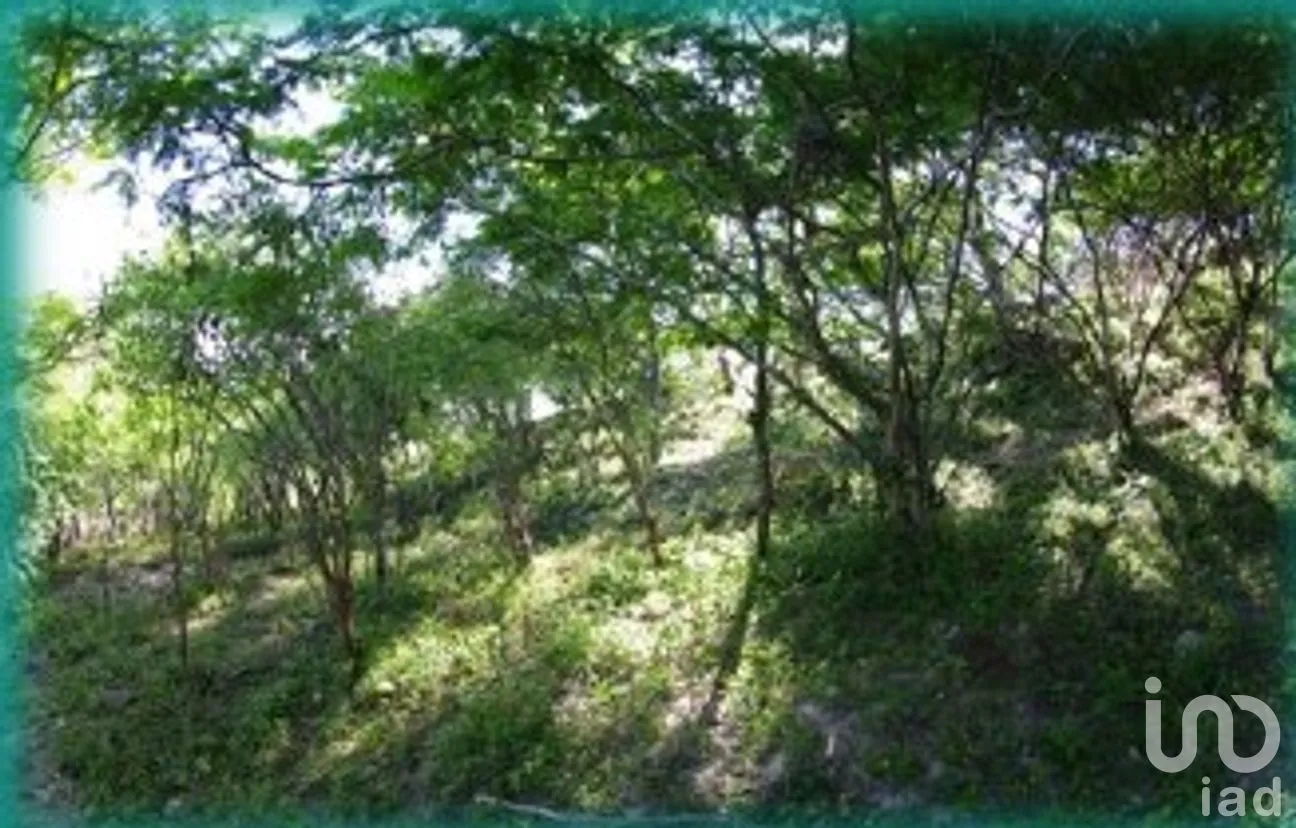 Terreno en Venta en Chietla, Chietla, Puebla | NEX-294230 | iad México | Foto 10 de 14